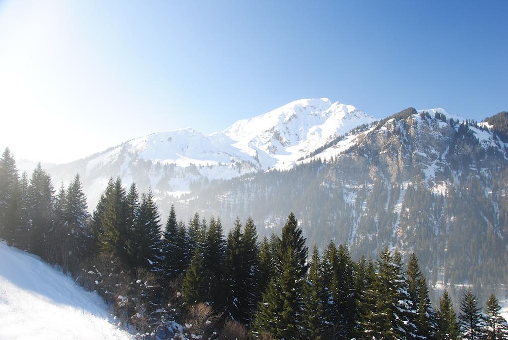 Hotel Les Combelles Châtel Zewnętrze zdjęcie